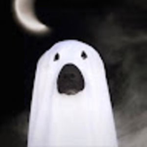 Meet your Posher, Hobbzy